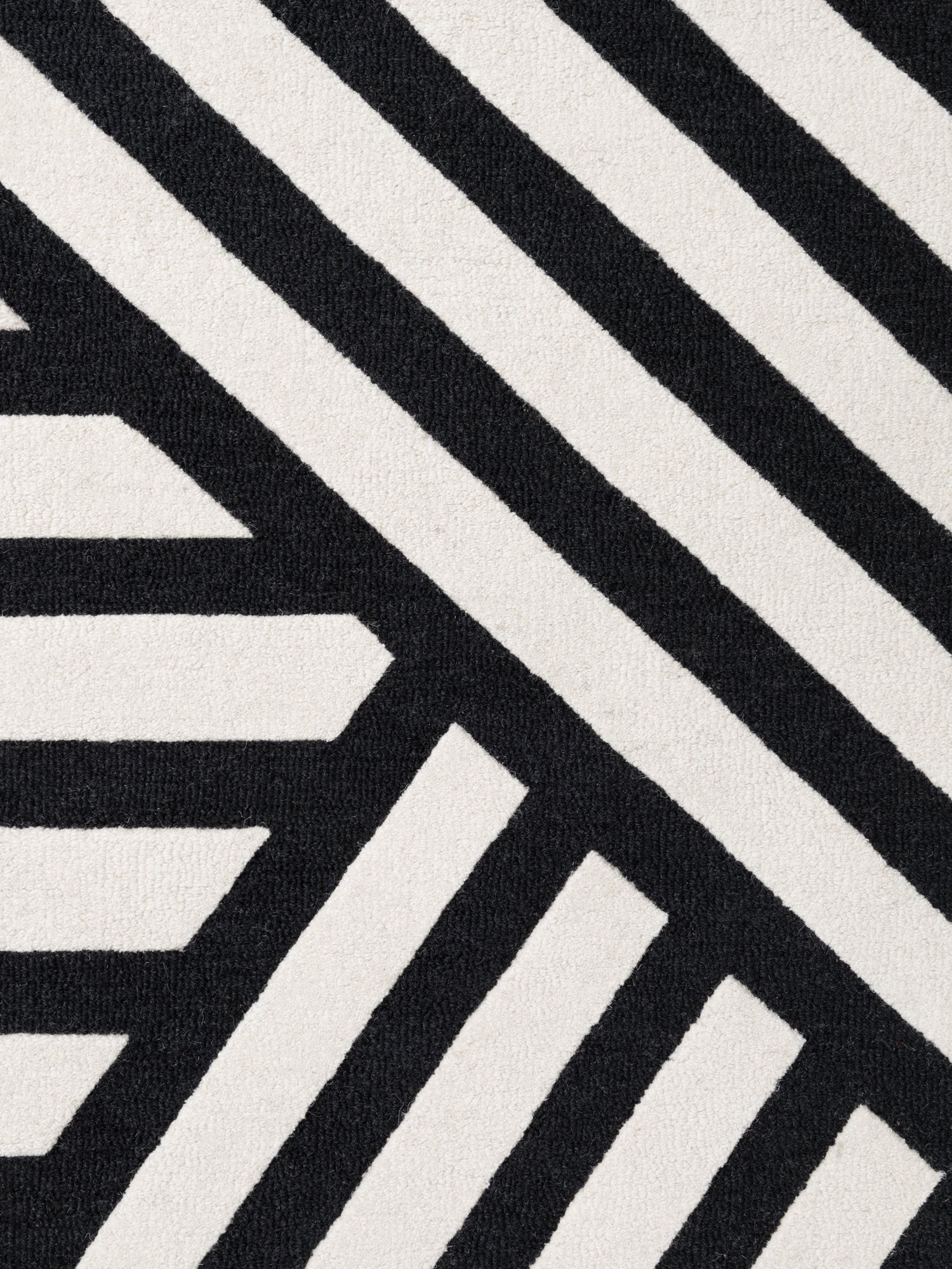 Noir svart vit – ZOOM1