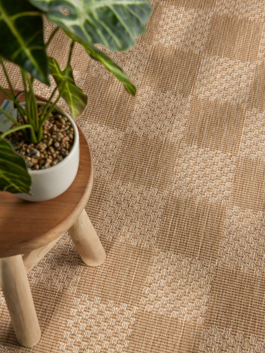 Dorothy jute vit