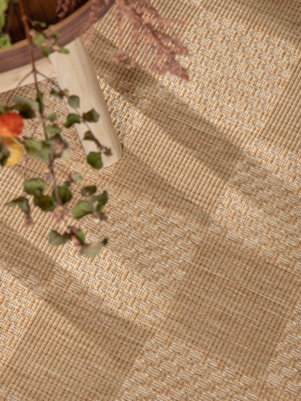 Dorothy jute vit
