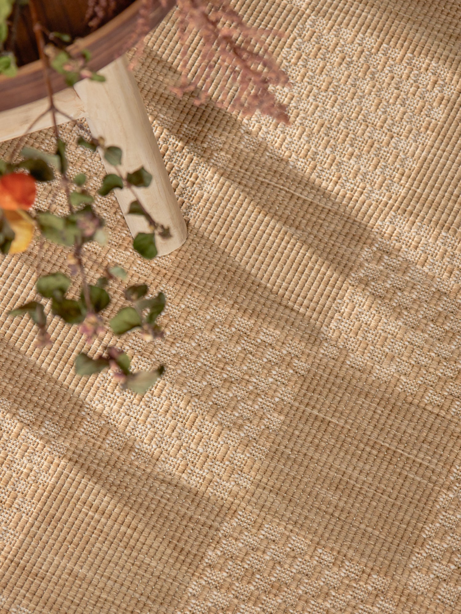 Dorothy jute vit