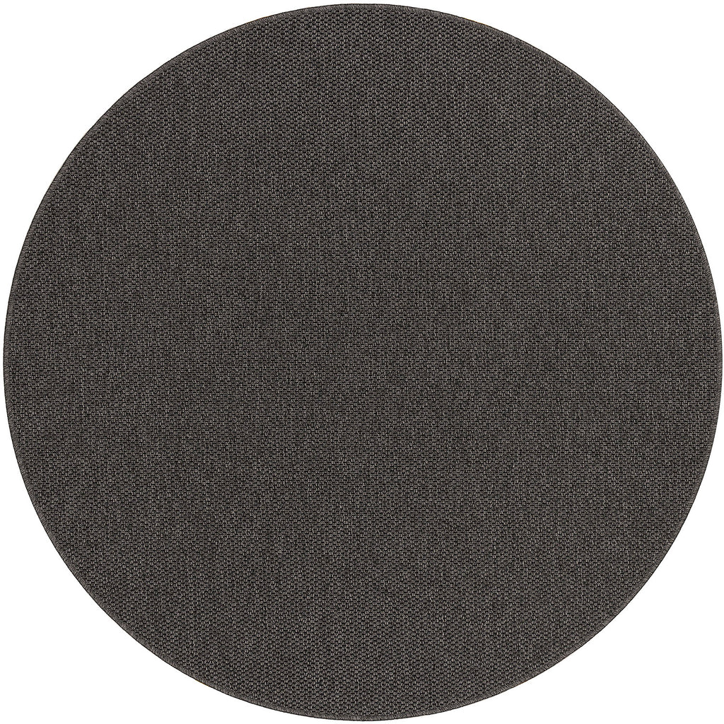Brooklyn Carbon
