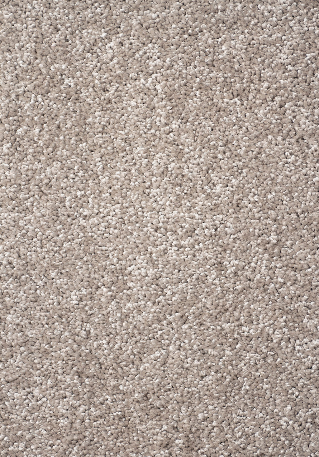 Jazz Beige