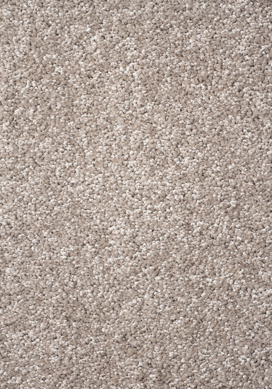 Jazz Beige