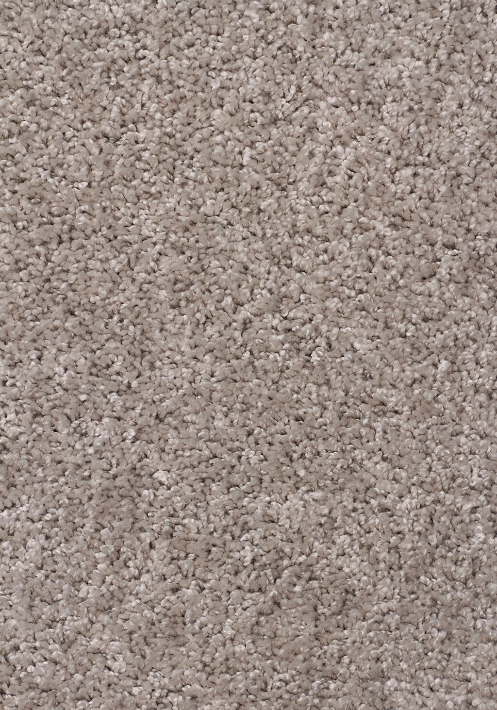 Sweet Beige